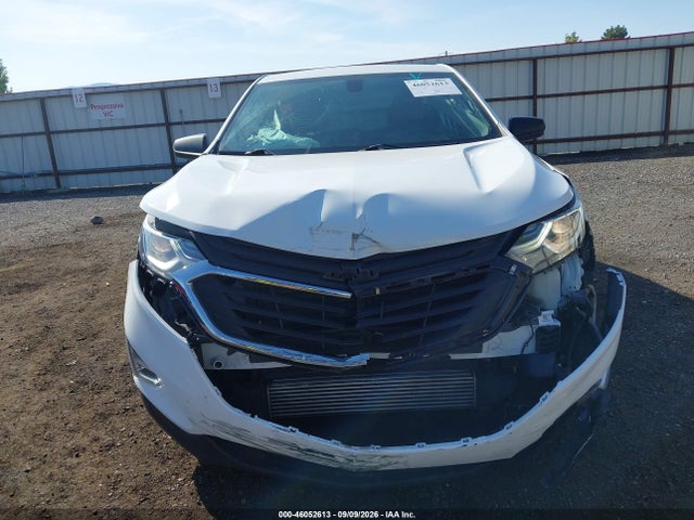 Chevrolet EQUINOX LS 2019 3GNAXSEV1KS648241 Image 13