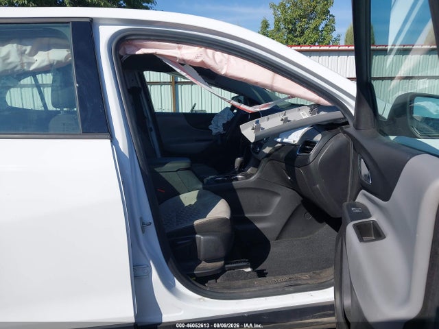 Chevrolet EQUINOX LS 2019 3GNAXSEV1KS648241 Image 5