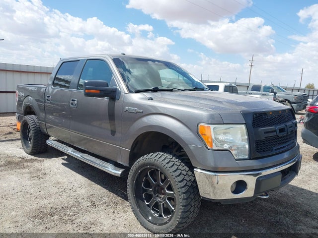 46052618 :رقم المزاد ، 1FTFW1ETXDKE24197 vin ، 2013 Ford F-150 Xlt مزاد بيع