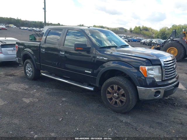 46052695 :رقم المزاد ، 1FTFW1ET1CKD91895 vin ، 2012 Ford F-150 Xlt مزاد بيع