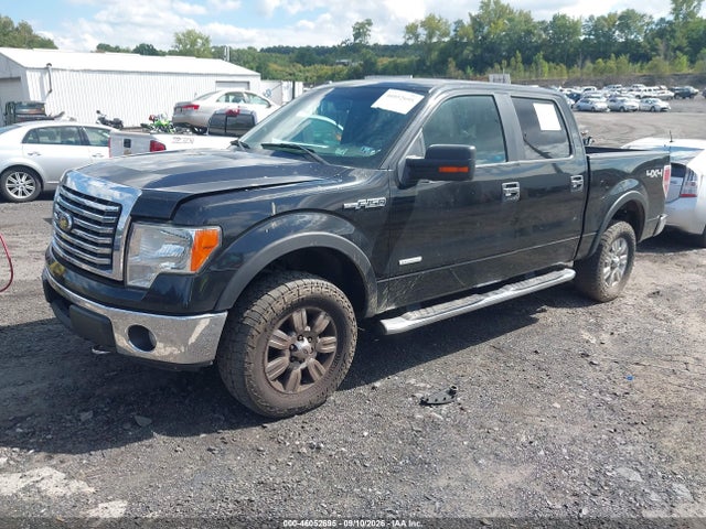 46052695 :رقم المزاد ، 1FTFW1ET1CKD91895 vin ، 2012 Ford F-150 Xlt مزاد بيع