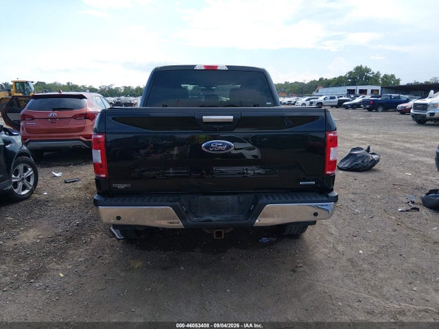 46053408 :رقم المزاد ، 1FTEW1EP0LKE23654 vin ، 2020 Ford F-150 Xlt مزاد بيع