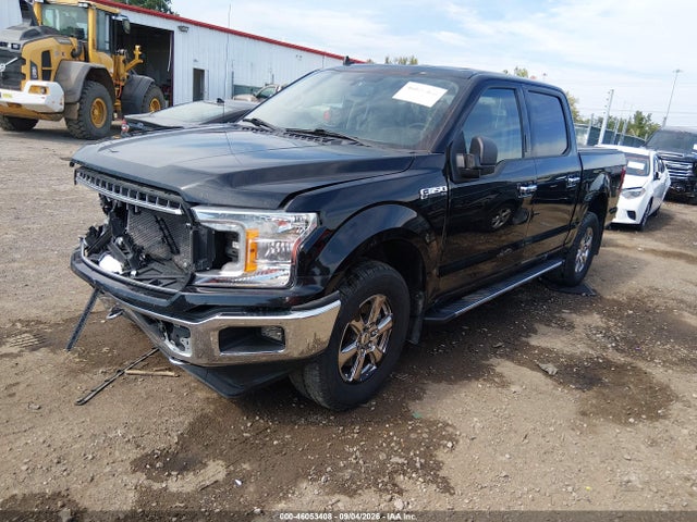 46053408 :رقم المزاد ، 1FTEW1EP0LKE23654 vin ، 2020 Ford F-150 Xlt مزاد بيع