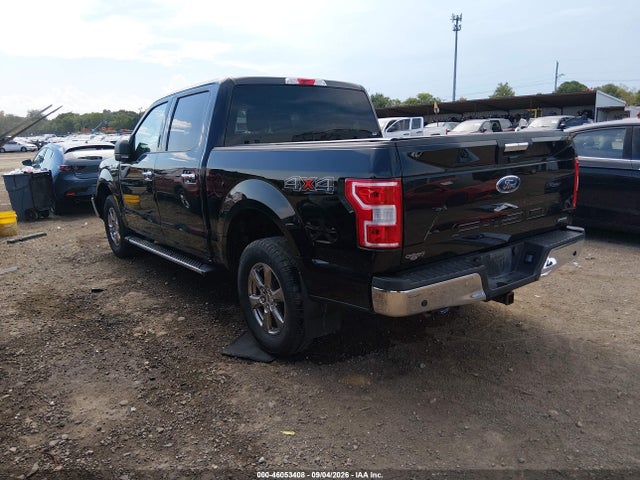 46053408 :رقم المزاد ، 1FTEW1EP0LKE23654 vin ، 2020 Ford F-150 Xlt مزاد بيع