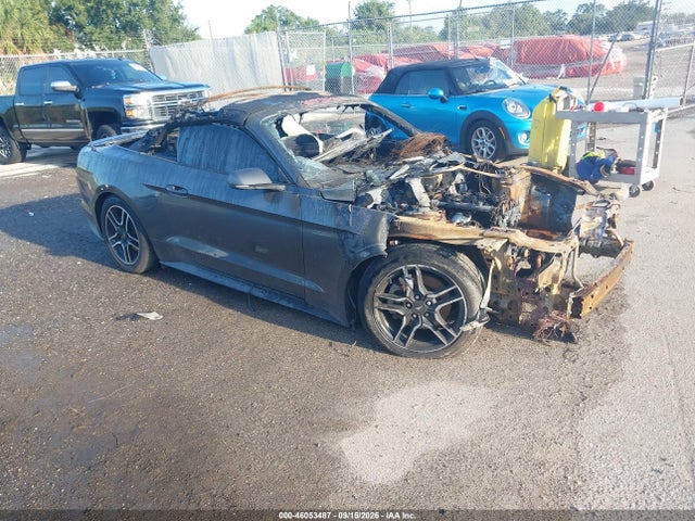 46053487 :رقم المزاد ، 1FATP8UH3J5119274 vin ، 2018 Ford Mustang Ecoboost Premium مزاد بيع