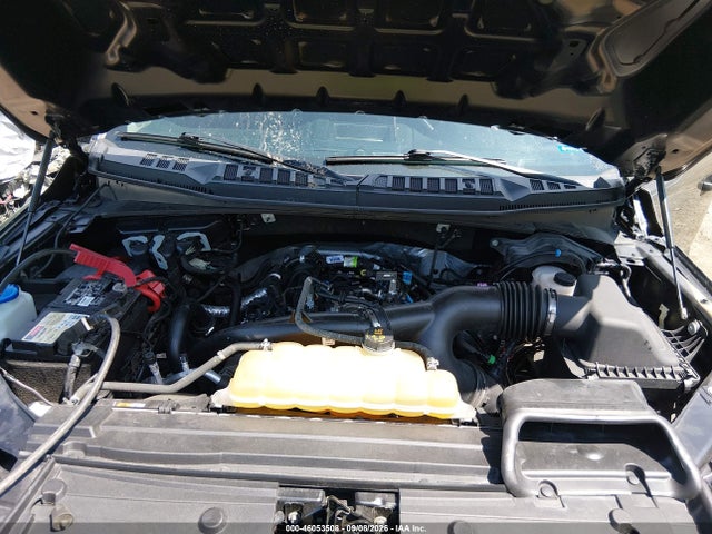 46053508 :رقم المزاد ، 1FTEW1EP8LFC50927 vin ، 2020 Ford F-150 Xl مزاد بيع