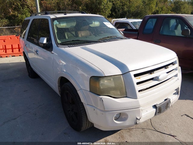 Aukcja sprzedaży 2009 Ford Expedition Limited, vin: 1FMFU195X9LA07287, numer aukcji: 46054074