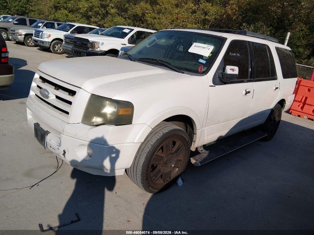 Aukcja sprzedaży 2009 Ford Expedition Limited, vin: 1FMFU195X9LA07287, numer aukcji: 46054074