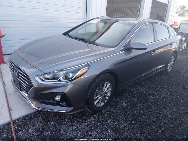 Aukcja sprzedaży 2019 Hyundai Sonata Eco, vin: 5NPE24AA4KH774871, numer aukcji: 46054233