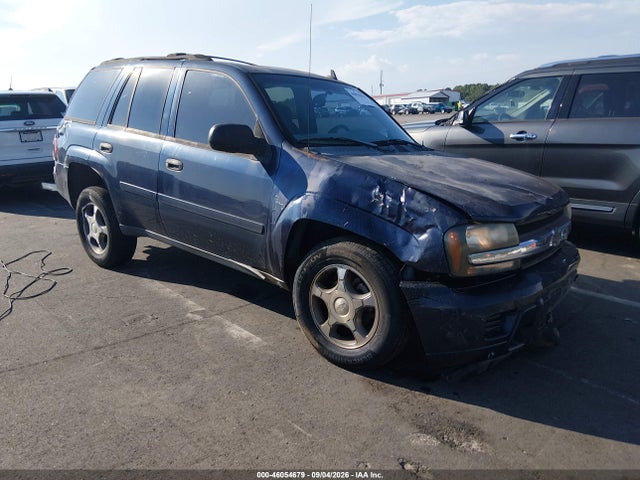 2007 Chevrolet Trailblazer Ls მანქანა იყიდება აუქციონზე, vin: 1GNDT13S672232992, აუქციონის ნომერი: 46054679