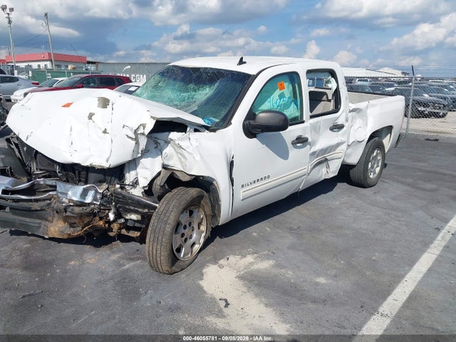 Продажа на аукционе авто 2010 Chevrolet Silverado 1500 Lt, vin: 3GCRCSE08AG168355, номер лота: 46055781