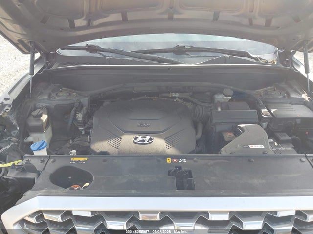 Aukcja sprzedaży 2020 Hyundai Palisade Sel, vin: KM8R4DHE5LU095280, numer aukcji: 46055987