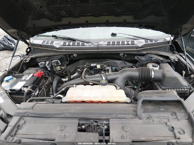 Продаж на аукціоні авто 2019 Ford F-150 Xl, vin: 1FTEW1EP8KFA30346, номер лоту: 46056386