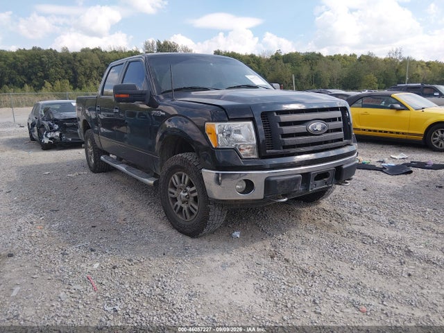 46057227 :رقم المزاد ، 1FTFW1EV4AFD24537 vin ، 2010 Ford F-150 Fx4/harley-davidson/king Ranch/lariat/platinum/xl/xlt مزاد بيع