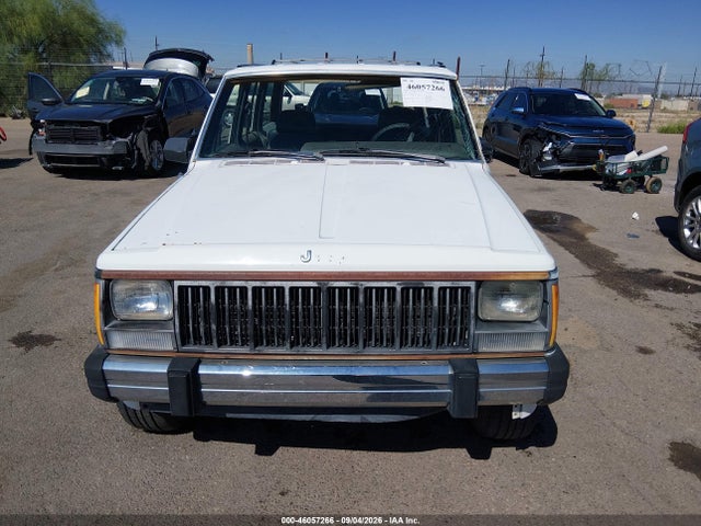 Продаж на аукціоні авто 1989 Jeep Cherokee Pioneer, vin: 1J4FJ38L9KL547450, номер лоту: 46057266