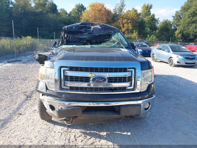 Продаж на аукціоні авто 2013 Ford F-150 Xlt, vin: 1FTFX1EF9DFB64231, номер лоту: 46057329