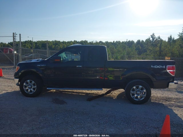 Продаж на аукціоні авто 2013 Ford F-150 Xlt, vin: 1FTFX1EF9DFB64231, номер лоту: 46057329