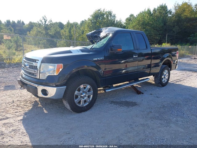 Продаж на аукціоні авто 2013 Ford F-150 Xlt, vin: 1FTFX1EF9DFB64231, номер лоту: 46057329