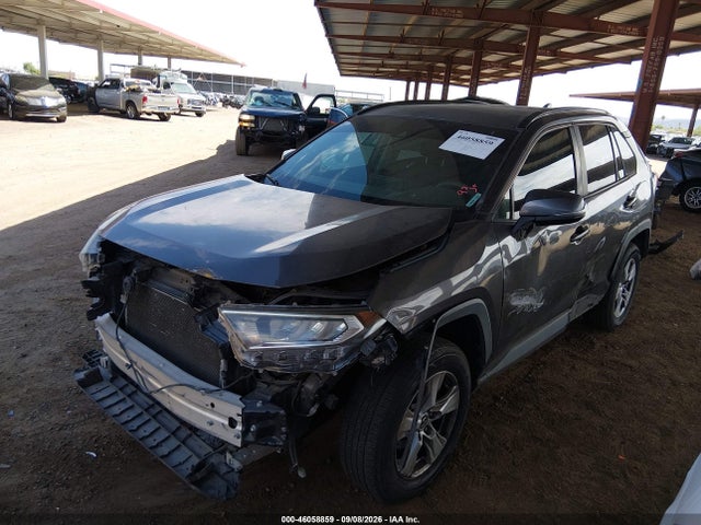 2019 Toyota Rav4 Xle მანქანა იყიდება აუქციონზე, vin: 2T3W1RFV7KW007329, აუქციონის ნომერი: 46058859