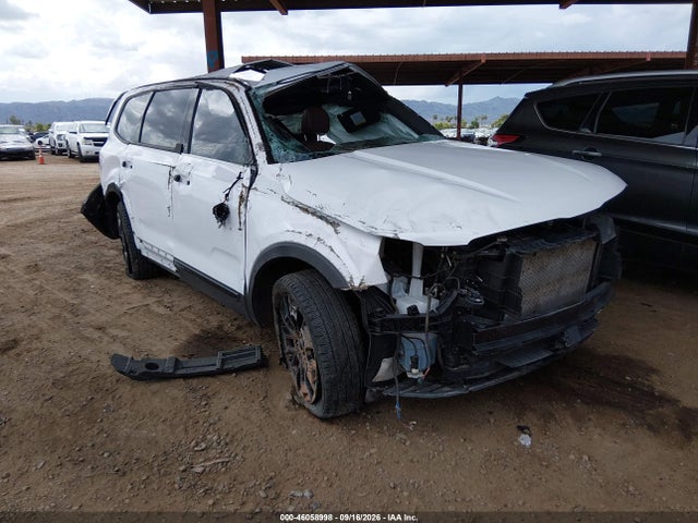 KIA Telluride Sx 2022 5XYP5DHC0NG234307 головне зображення