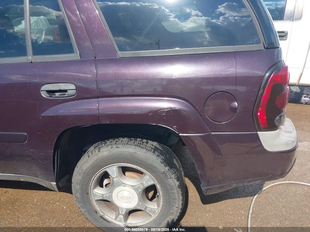 46059579 :رقم المزاد ، 1GNDS13S582252008 vin ، 2008 Chevrolet Trailblazer Fleet مزاد بيع