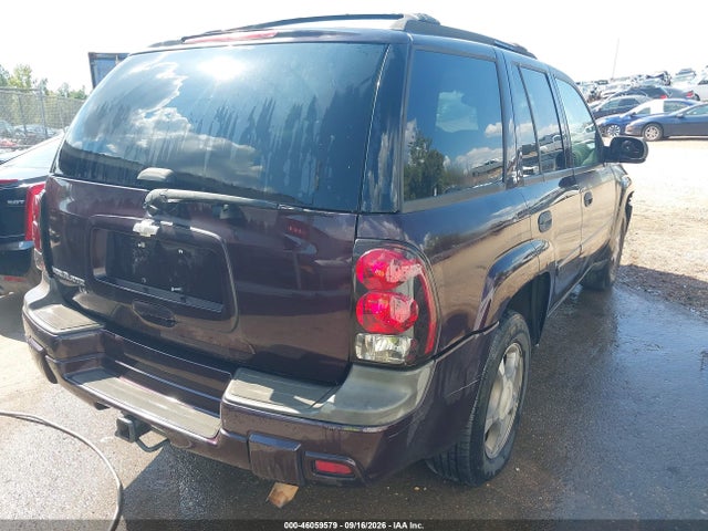 46059579 :رقم المزاد ، 1GNDS13S582252008 vin ، 2008 Chevrolet Trailblazer Fleet مزاد بيع