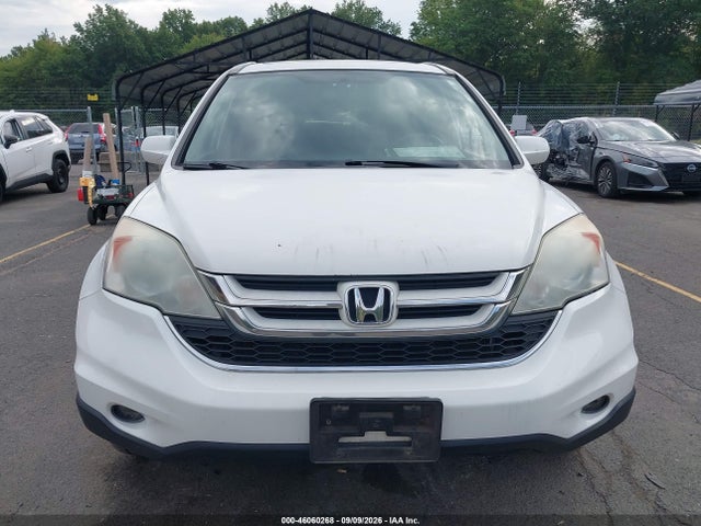 46060268 :رقم المزاد ، 5J6RE4H76AL034987 vin ، 2010 Honda Cr-v Ex-l مزاد بيع