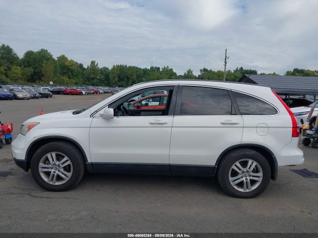 46060268 :رقم المزاد ، 5J6RE4H76AL034987 vin ، 2010 Honda Cr-v Ex-l مزاد بيع