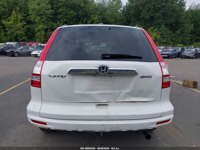 46060268 :رقم المزاد ، 5J6RE4H76AL034987 vin ، 2010 Honda Cr-v Ex-l مزاد بيع