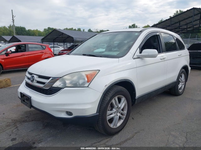 46060268 :رقم المزاد ، 5J6RE4H76AL034987 vin ، 2010 Honda Cr-v Ex-l مزاد بيع
