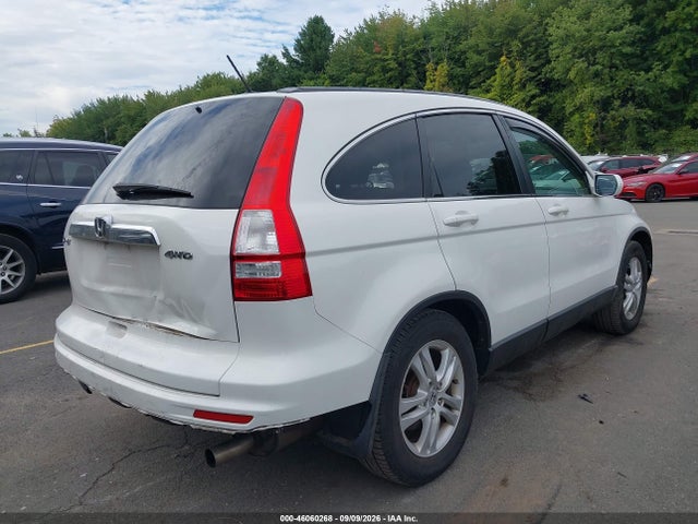 46060268 :رقم المزاد ، 5J6RE4H76AL034987 vin ، 2010 Honda Cr-v Ex-l مزاد بيع