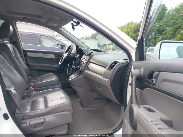 46060268 :رقم المزاد ، 5J6RE4H76AL034987 vin ، 2010 Honda Cr-v Ex-l مزاد بيع