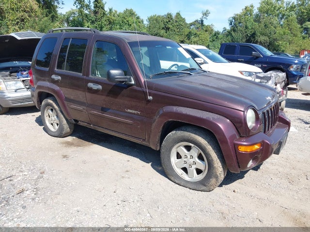 2004 Jeep Liberty Limited Edition მანქანა იყიდება აუქციონზე, vin: 1J8GL58K44W231441, აუქციონის ნომერი: 46060387