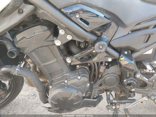 Kawasaki Zr900 S 2025 ML5ZRDS18SDA06535 Image 9
