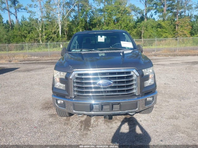 46061384 :رقم المزاد ، 1FTEW1EG6FKF11306 vin ، 2015 Ford F-150 Xlt مزاد بيع