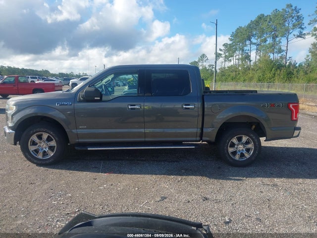 46061384 :رقم المزاد ، 1FTEW1EG6FKF11306 vin ، 2015 Ford F-150 Xlt مزاد بيع