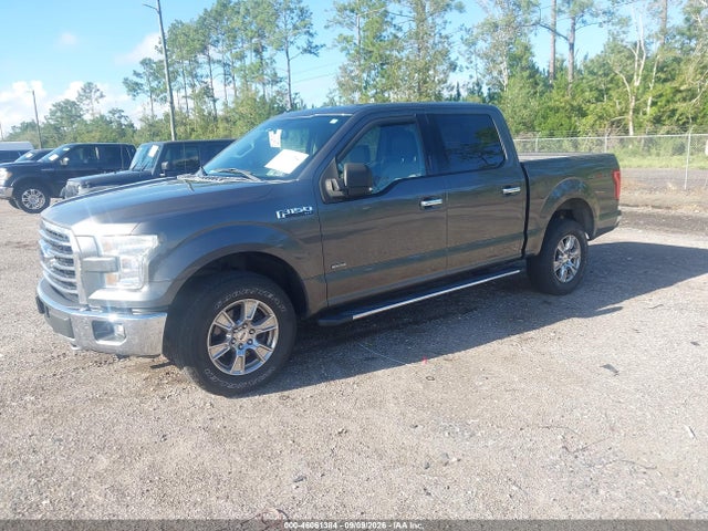 46061384 :رقم المزاد ، 1FTEW1EG6FKF11306 vin ، 2015 Ford F-150 Xlt مزاد بيع