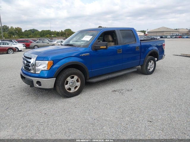 Aukcja sprzedaży 2010 Ford F-150 Fx4/harley-davidson/king Ranch/lariat/platinum/xl/xlt, vin: 1FTFW1EVXAKB25449, numer aukcji: 46061571