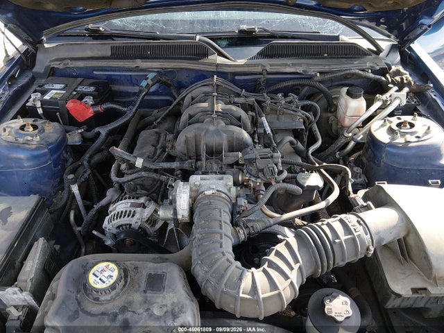 2009 Ford Mustang V6/v6 Premium მანქანა იყიდება აუქციონზე, vin: 1ZVHT80N695125263, აუქციონის ნომერი: 46061809