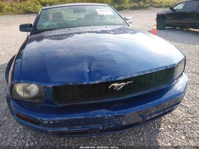 2009 Ford Mustang V6/v6 Premium მანქანა იყიდება აუქციონზე, vin: 1ZVHT80N695125263, აუქციონის ნომერი: 46061809