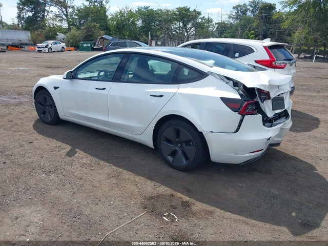 Tesla Model 3 Rear-wheel Drive 2023 5YJ3E1EA2PF564945 Image 3