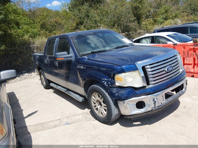 Auction sale of the 2010 Ford F-150 Xlt, vin: 1FTEW1C89AFD32478, lot number: 46063567