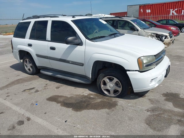 2004 Chevrolet Trailblazer Ls მანქანა იყიდება აუქციონზე, vin: 1GNDS13S842378079, აუქციონის ნომერი: 46064116