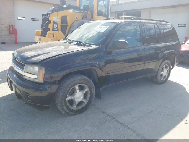 46064143 :رقم المزاد ، 1GNDT13S982103744 vin ، 2008 Chevrolet Trailblazer Fleet مزاد بيع