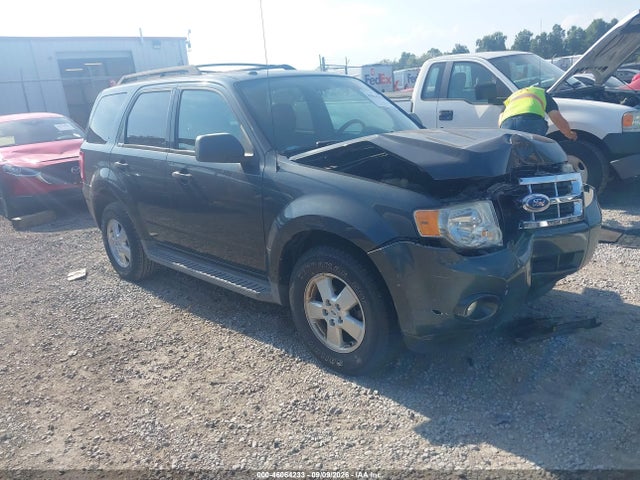 Продаж на аукціоні авто 2009 Ford Escape Xlt, vin: 1FMCU93709KC81275, номер лоту: 46064233