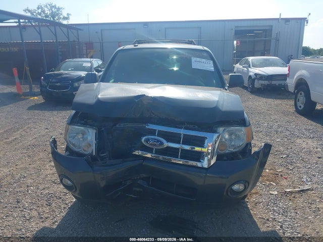 Продаж на аукціоні авто 2009 Ford Escape Xlt, vin: 1FMCU93709KC81275, номер лоту: 46064233