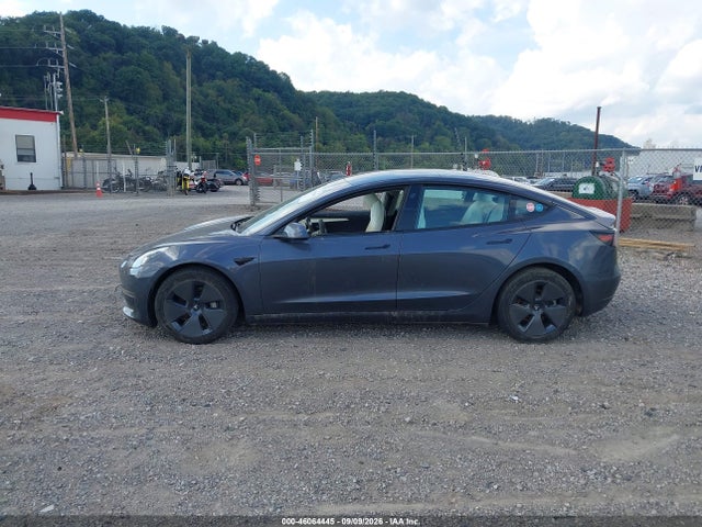 Tesla Model 3 Rear-wheel Drive 2023 5YJ3E1EA1PF669363 Image 13