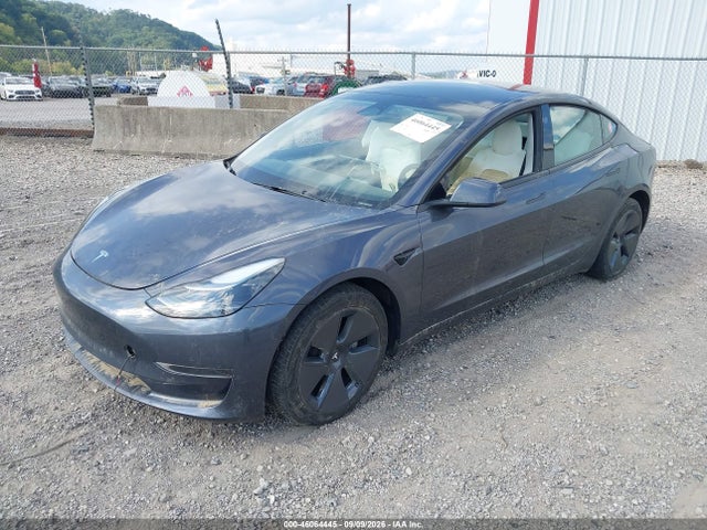 Tesla Model 3 Rear-wheel Drive 2023 5YJ3E1EA1PF669363 Image 2