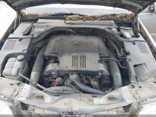 1997 Mercedes-benz S 420 მანქანა იყიდება აუქციონზე, vin: WDBGA43G3VA374632, აუქციონის ნომერი: 46065348
