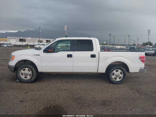 Aukcja sprzedaży 2013 Ford F-150 Xlt, vin: 1FTFW1EFXDFA79773, numer aukcji: 46065374